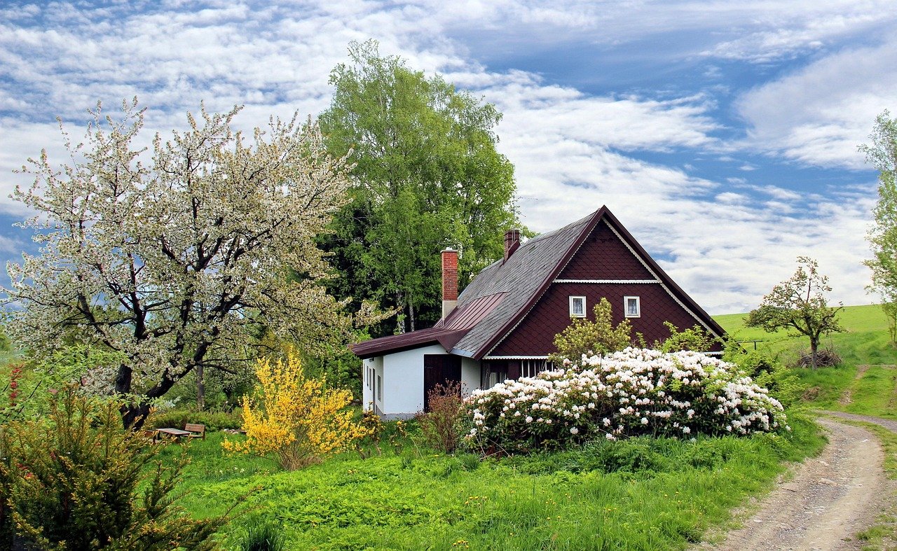 Jardin de cottage anglais avec massifs de fleurs