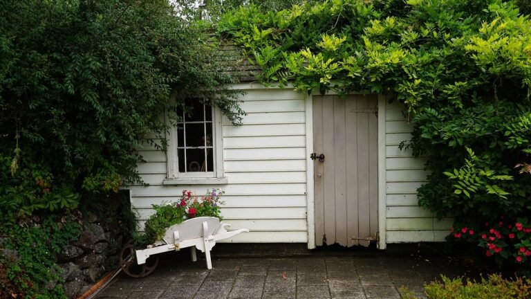 Abri de jardin en bois dans un espace extérieur