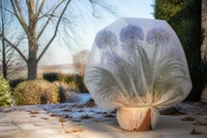 découvrez comment protéger efficacement votre agapanthe en pot durant l'hiver pour qu'elle reste belle et en bonne santé jusqu'au retour des beaux jours.