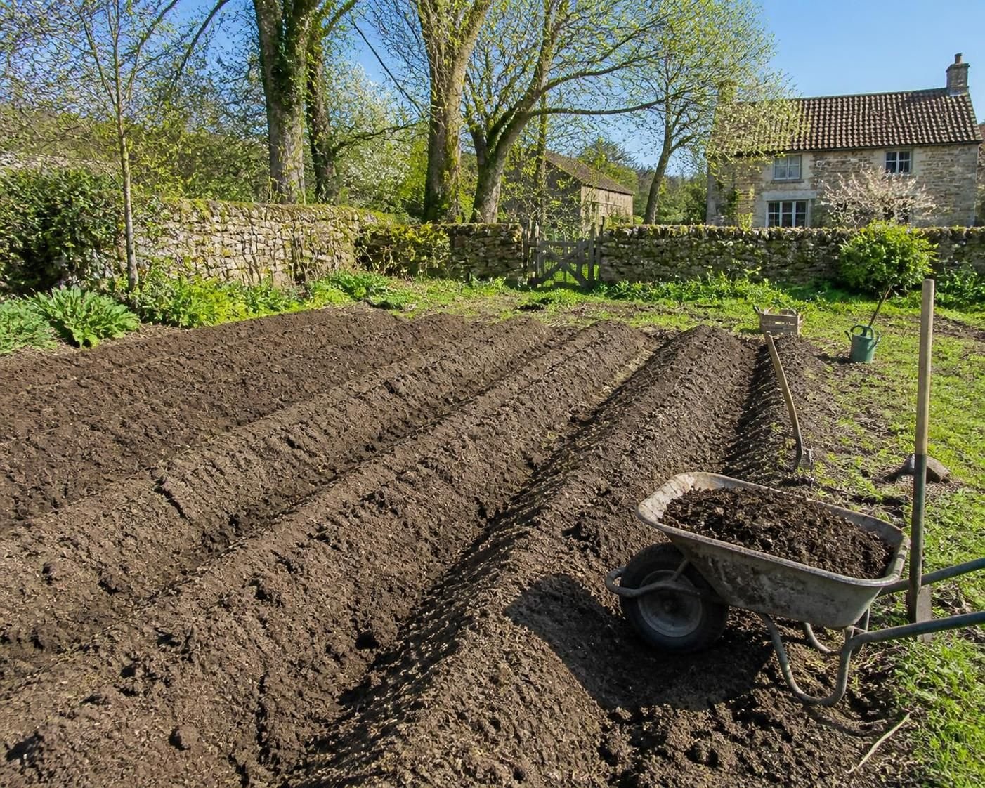 découvrez le meilleur moment pour planter vos pommes de terre selon votre région grâce à notre calendrier précis et adapté aux saisons.