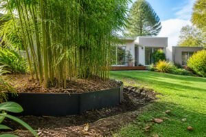 découvrez comment installer une barrière anti-rhizome efficace pour empêcher le bambou traçant d'envahir votre jardin et protéger vos espaces verts avec nos conseils pratiques.